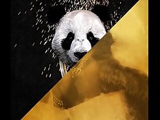 Desiigner vs. Future - Panda Mask Off (JLENS Edit)